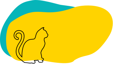 Cat Grooming
