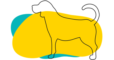 Large Grooming